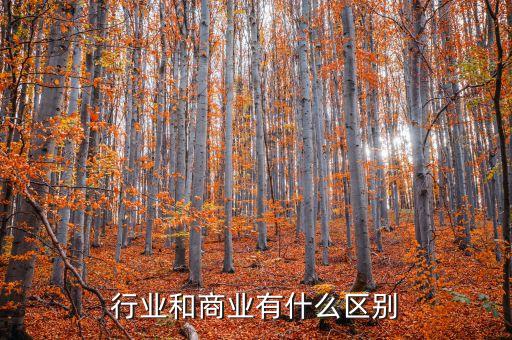 什么叫做行業(yè)，什么叫行業(yè)概況