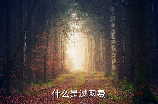 什么叫過網(wǎng)費(fèi)，手機(jī)上網(wǎng)費(fèi)是什么
