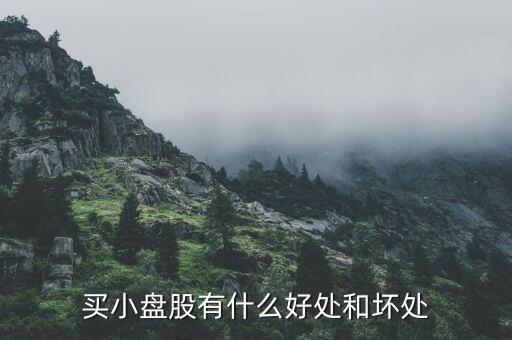 股票盤子小有什么好處，盤子大流通股本小有什么好處