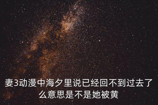 妻3動(dòng)漫中海夕里說(shuō)已經(jīng)回不到過去了么意思是不是她被黃