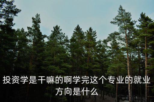 什么是投資學(xué)，上海財經(jīng)大學(xué) 公共經(jīng)濟(jì)與管理學(xué)院的 投資學(xué) 學(xué)的是什么