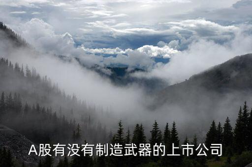 造戰(zhàn)斗機(jī)是什么股票，A股有沒有制造武器的上市公司
