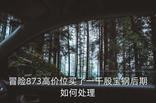 為什么大寧板塊房價瘋漲，8月11日房地產(chǎn)板塊漲幅領頭的原因
