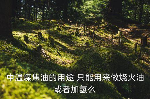 煤制油與煤焦油加氫有什么區(qū)別，焦油加氫改質(zhì) 加氫裂解有什么區(qū)別