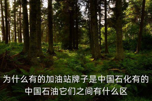 為什么中石化和中石油不，中石油中石化中海油為什么不合并
