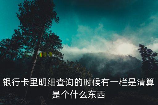 什么是銀行卡清算，銀行卡里明細(xì)查詢的時候有一欄是清算是個什么東西