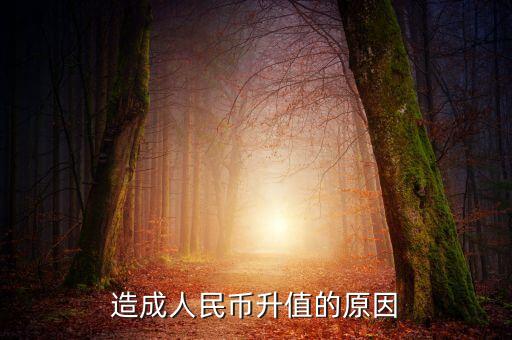 為什么貨幣升值，為什貨幣會(huì)升值