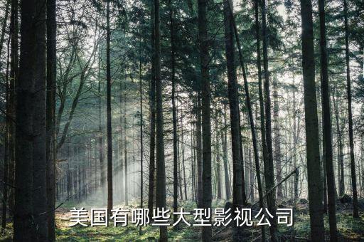 波士頓有什么大公司，美國有哪些大型影視公司