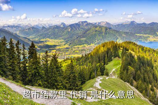 金融學(xué)里的什么是代銷，超市結(jié)款里 代銷 是什么意思