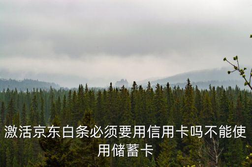 京東白條要什么銀行卡，京東打白條一定要信用卡嗎儲蓄卡不能用嗎