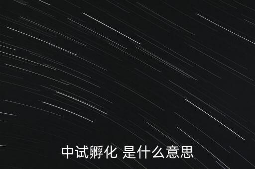 中試孵化是什么意思，中試孵化 是什么意思