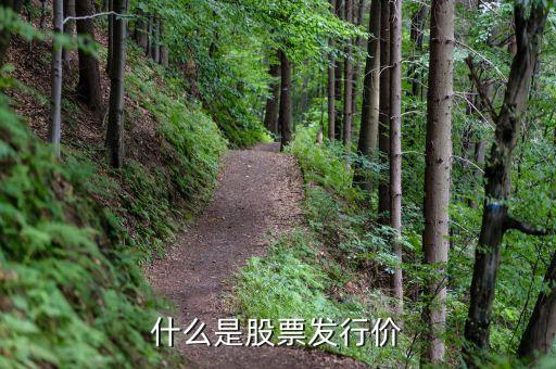 股票發(fā)行價(jià)格是什么意思，上市公司的發(fā)行價(jià)格是什么意思 解釋得詳細(xì)點(diǎn)謝謝