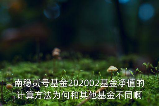 南穩(wěn)二號為什么要分紅，南穩(wěn)貳號基金202002基金凈值的計算方法為何和其他基金不同啊