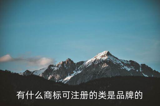 劉陽的全盛集團的注冊商標(biāo)是什么，有什么商標(biāo)可注冊的類是品牌的