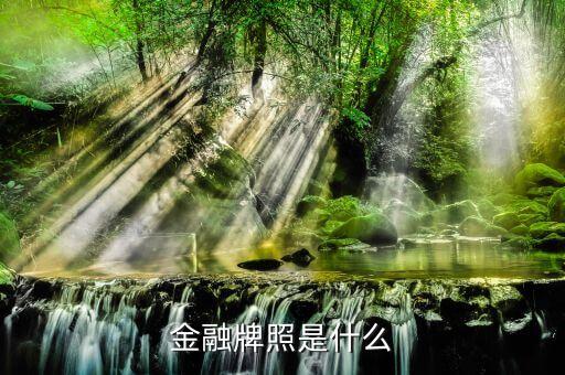 擔(dān)保公司的金融牌照是什么樣子的，金融牌照是什么