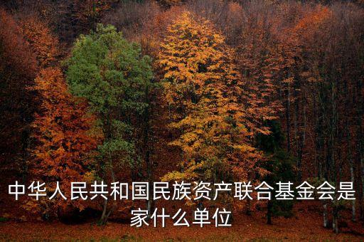 anc基金會(huì)是什么，中華人民共和國(guó)民族資產(chǎn)聯(lián)合基金會(huì)是家什么單位
