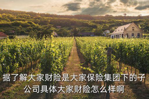 大財子公司全稱是什么，大財子什么意思哦