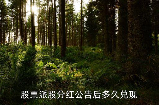 股票分配方案什么時(shí)候兌現(xiàn)，股票公布分紅多久才兌現(xiàn)