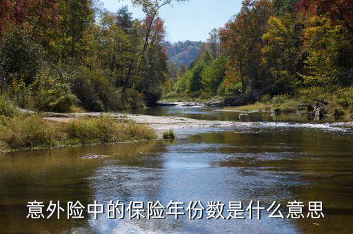 保險(xiǎn)數(shù)目指什么，意外險(xiǎn)中的保險(xiǎn)年份數(shù)是什么意思