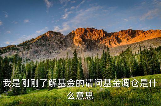 基金調(diào)倉什么意思，基金跟投調(diào)倉是什么意思