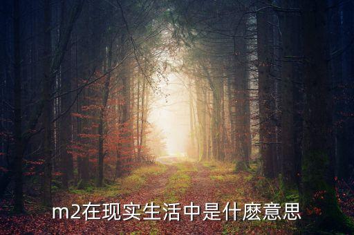 m2在現實生活中是什麼意思