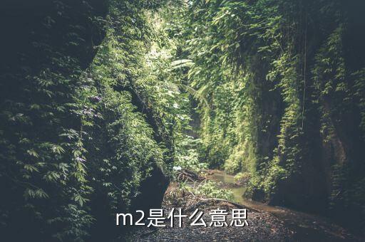 中國m2是什么，m2是什么意思
