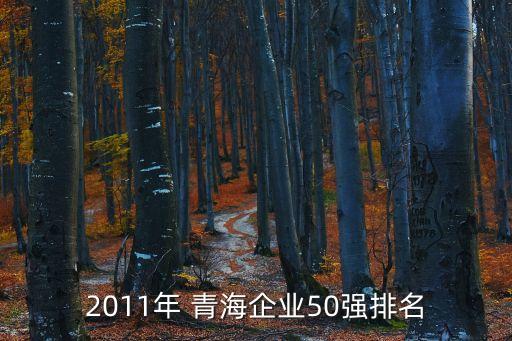 青海海潤電力有限責任公司,青海安納電力安裝調(diào)試有限責任公司