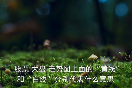 大盤(pán)股票走勢(shì)圖,股票大盤(pán)走勢(shì)圖下載哪個(gè)軟件