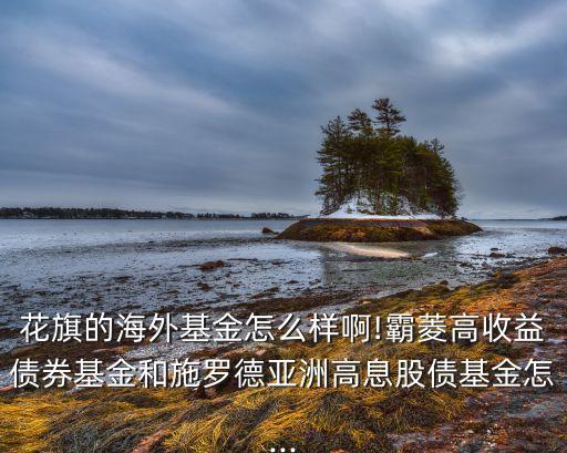 巴林銀行被誰(shuí)收購(gòu),收購(gòu)巴林銀行的小說(shuō)