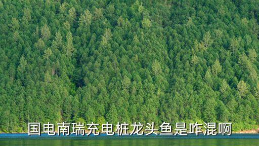 國(guó)電南瑞充電樁龍頭魚(yú)是咋混啊