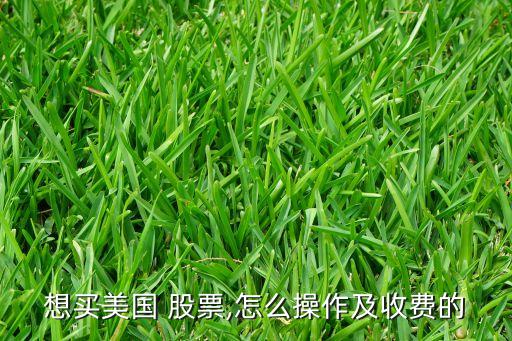 想買美國 股票,怎么操作及收費的