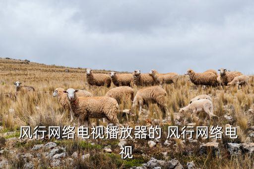 北京風(fēng)行在線(xiàn)技術(shù)有限公司地址,風(fēng)行視頻技術(shù)(北京)有限公司