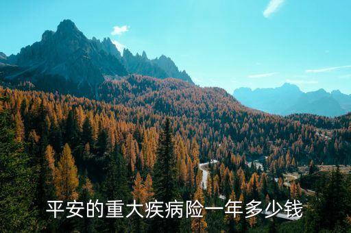 平安的重大疾病險(xiǎn)一年多少錢