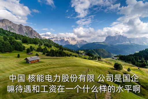 中國(guó) 核能電力股份有限 公司是國(guó)企嘛待遇和工資在一個(gè)什么樣的水平啊