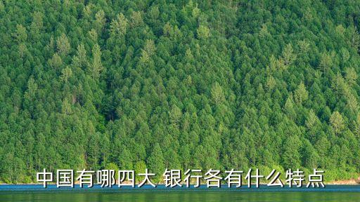 中國有哪四大 銀行各有什么特點(diǎn)