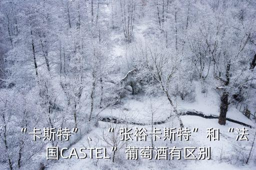 “卡斯特”、“ 張?jiān)？ㄋ固亍焙汀胺▏鳦ASTEL”葡萄酒有區(qū)別