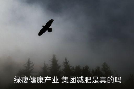 綠瘦集團(tuán)有限公司,綠瘦健康產(chǎn)業(yè)集團(tuán)有限公司武漢總部