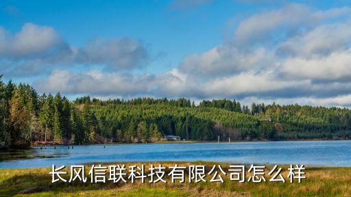  長(zhǎng)風(fēng)信聯(lián)科技有限公司怎么樣