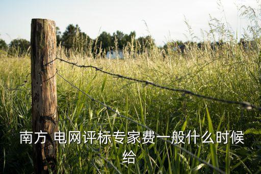  南方 電網(wǎng)評(píng)標(biāo)專家費(fèi)一般什么時(shí)候給