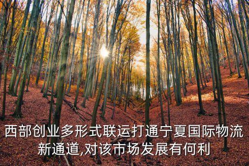 西部創(chuàng)業(yè)多形式聯(lián)運(yùn)打通寧夏國際物流新通道,對(duì)該市場發(fā)展有何利
