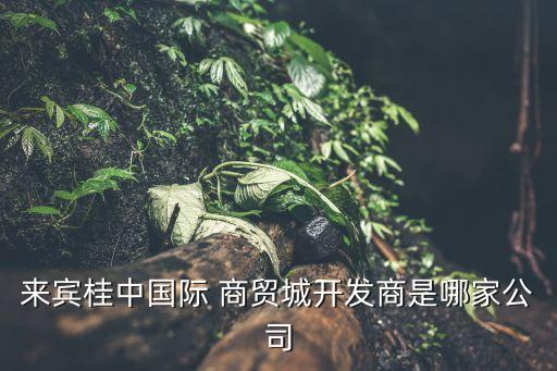 來賓桂中國(guó)際 商貿(mào)城開發(fā)商是哪家公司