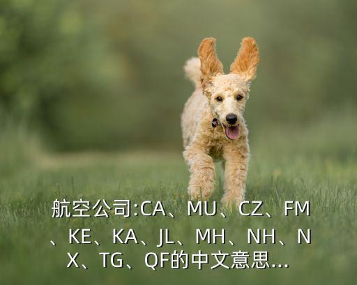  航空公司:CA、MU、CZ、FM、KE、KA、JL、MH、NH、NX、TG、QF的中文意思...