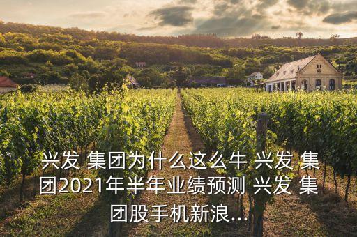  興發(fā) 集團為什么這么牛 興發(fā) 集團2021年半年業(yè)績預測 興發(fā) 集團股手機新浪...