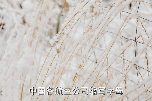 中國(guó)各航空公司縮寫(xiě)字母