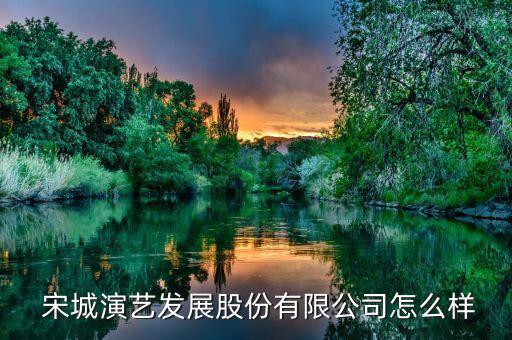 副會長宋城集團(tuán),宋城集團(tuán)簡介創(chuàng)始人