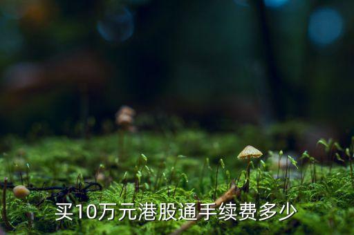 買(mǎi)10萬(wàn)元港股通手續(xù)費(fèi)多少