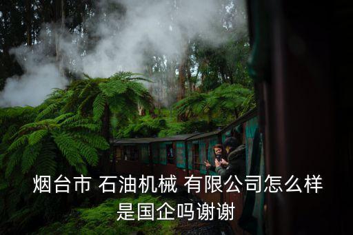  煙臺(tái)市 石油機(jī)械 有限公司怎么樣是國(guó)企嗎謝謝