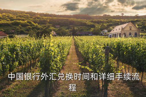  中國銀行外匯兌換時間和詳細手續(xù)流程