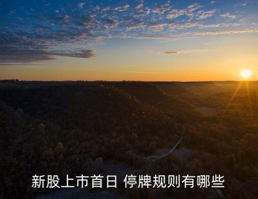 股票停牌時間規(guī)定