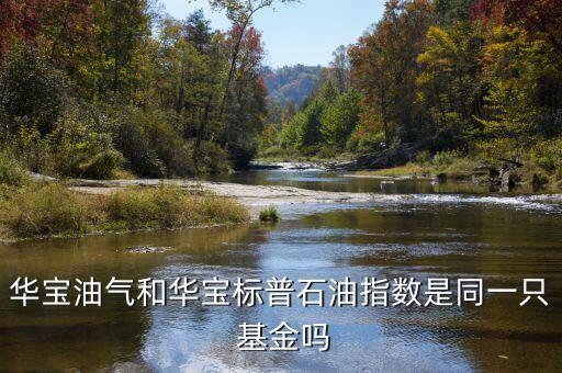基金162411,基金支付是什么意思,是醫(yī)保報(bào)銷的嗎